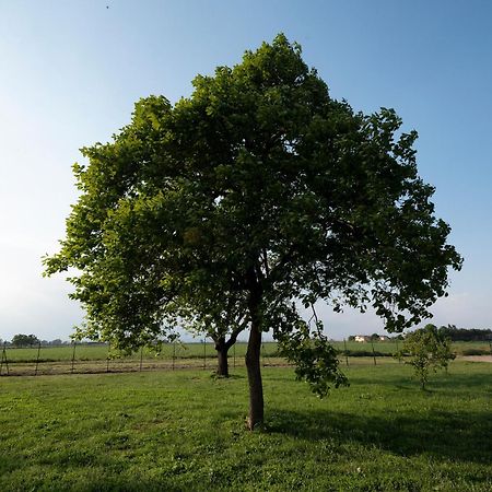 Agriturismo Cascina Graziosa Cameriano Ngoại thất bức ảnh